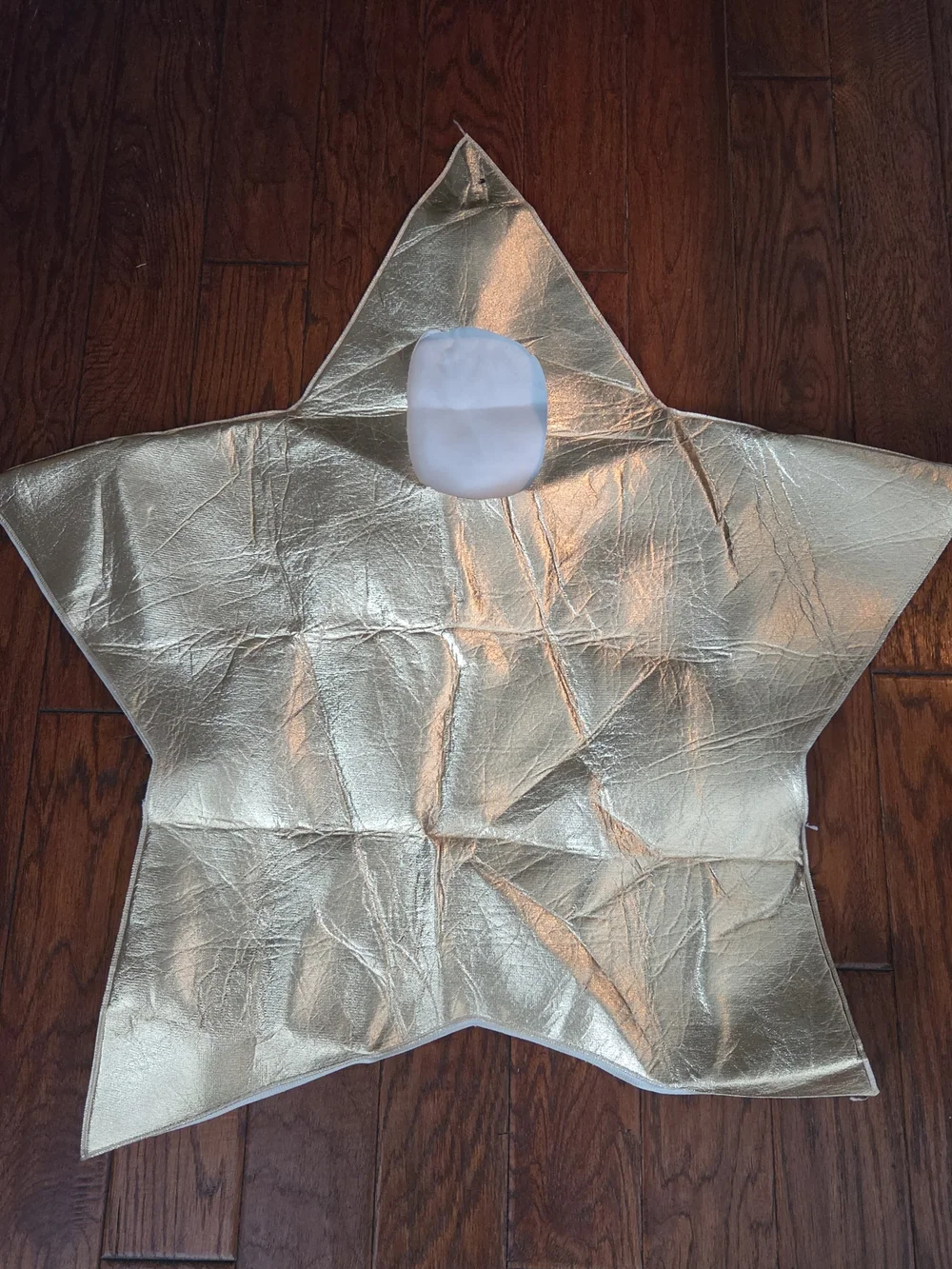 Gold Star Costume - Fun Star Outfit